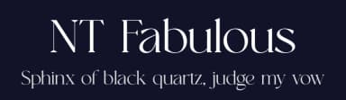 NT Fabulous by Artem Nevsky — Serif Font — thumbnail 2
