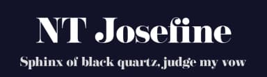 NT Josefine by Artem Nevsky — Serif Font — thumbnail 2