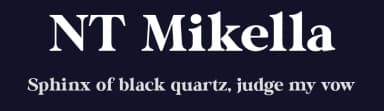 NT Mikella by Artem Nevsky — Serif Font — thumbnail 2