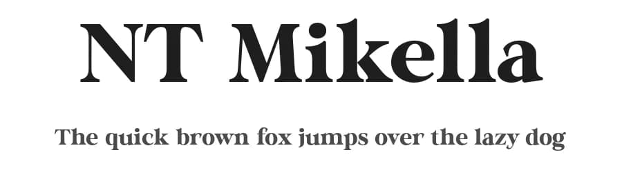 NT Mikella by Artem Nevsky — Serif Font — preview 1