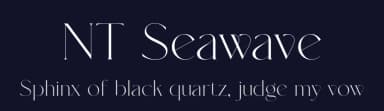NT Seawave by Artem Nevsky — Serif Font — thumbnail 2