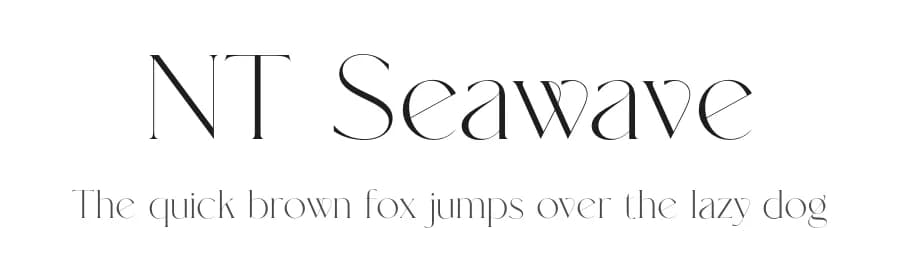 NT Seawave by Artem Nevsky — Serif Font