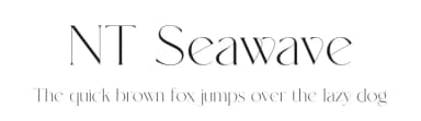 NT Seawave by Artem Nevsky — Serif Font — thumbnail 1