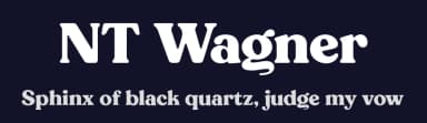 NT Wagner by Artem Nevsky — Serif Font — thumbnail 2