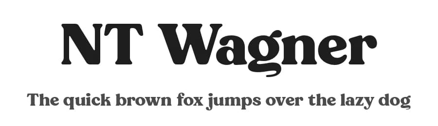 NT Wagner by Artem Nevsky — Serif Font