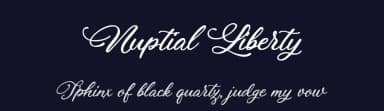 Nuptial Liberty by BlackFridayFont FMF — Script Handwritten Font — thumbnail 2