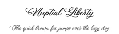 Nuptial Liberty by BlackFridayFont FMF — Script Handwritten Font — thumbnail 1