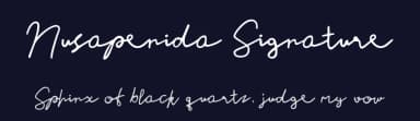 Nusapenida Signature by Oreon Studio — Script Handwritten Font — thumbnail 2