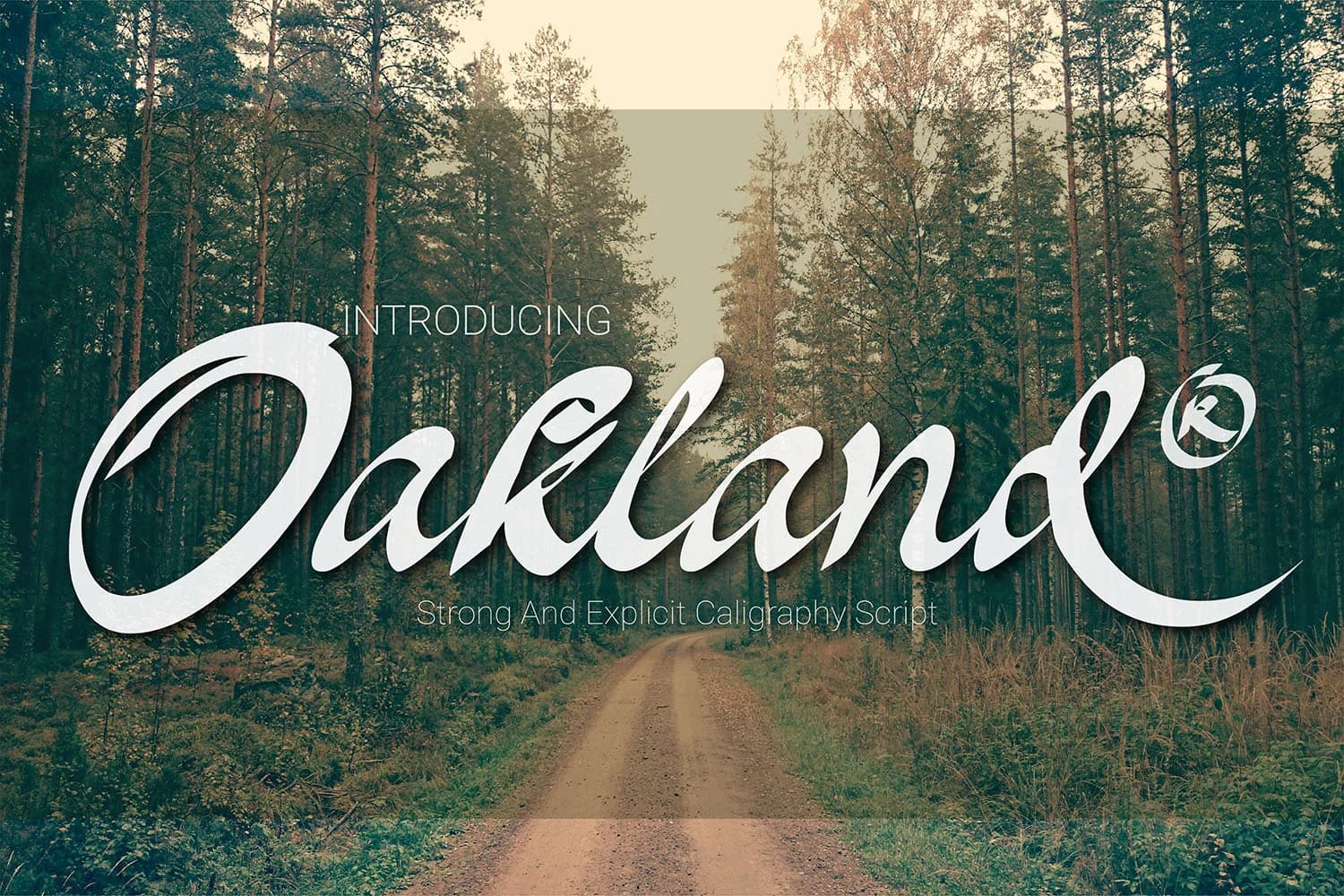 Oakland Font by 38.lineart — Script Handwritten Font