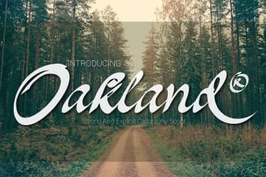 Oakland Font by 38.lineart — Script Handwritten Font — thumbnail 1