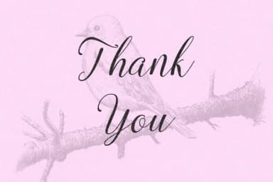 Octavina Font by Ian Mikraz — Script Handwritten Font — thumbnail 5