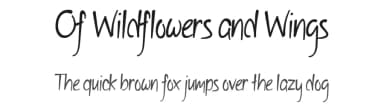Of Wildflowers and Wings by Brittney Murphy Design — Script Handwritten Font — thumbnail 1