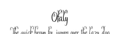 Ofaly by Digital Typeface Studio — Script Handwritten Font — thumbnail 1