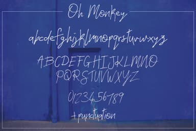 Oh Monkey Font by Salt and Pepper Fonts — Script Handwritten Font — thumbnail 4