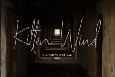 Okamy Font by ShiftStudios — Script Handwritten Font — thumbnail 5