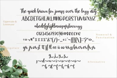 Okuland Font by Vilogsign — Script Handwritten Font — thumbnail 4