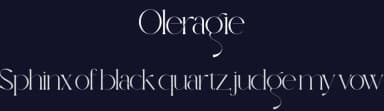Oleragie by Hishand Studio — Serif Font — thumbnail 2