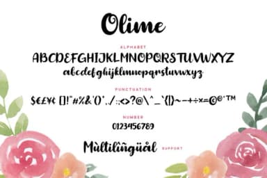Olime Font by Grezline Studio — Script Handwritten Font — thumbnail 5