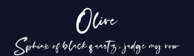Olive by Fikryal studio — Script Handwritten Font — thumbnail 2
