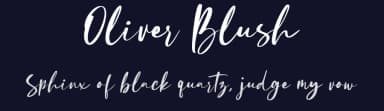 Oliver Blush by Typetemp Studio — Script Handwritten Font — thumbnail 2