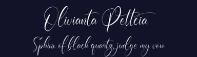 Olivianta Pettcia by Perspectype Studio - Letterena.com — Script Handwritten Font — thumbnail 2