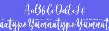 Olyndia by Yumna Family — Script Handwritten Font — thumbnail 3