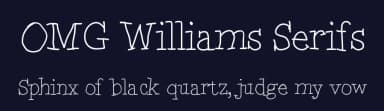 OMG Williams Serifs by William Koch — Script Handwritten Font — thumbnail 2