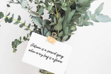 One Day Font by typehill — Script Handwritten Font — thumbnail 9