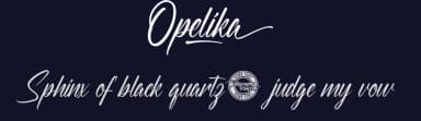 Opelika by Calligraphy Fonts — Script Handwritten Font — thumbnail 2