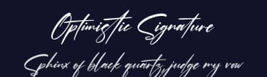 Optimistic Signature by Perspectype Studio - Letterena.com — Script Handwritten Font — thumbnail 2