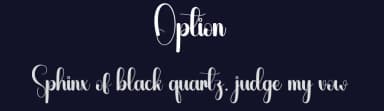 Option by Andi Moz — Script Handwritten Font — thumbnail 2