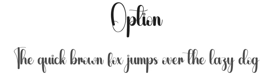 Option by Andi Moz — Script Handwritten Font