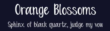 Orange Blossoms by Dez C — Script Handwritten Font — thumbnail 2