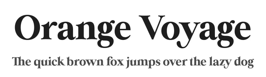 Orange Voyage by Dmitriy Evans — Serif Font