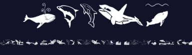 Orcas by Manfred Klein — Dingbats Font — thumbnail 2