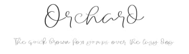 Orchard by LetterStock Std — Script Handwritten Font — thumbnail 1