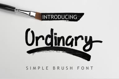 Ordinary Font by Debut Studio — Script Handwritten Font — thumbnail 1