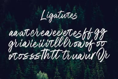 Oregon Script Font by Geranium.co — Script Handwritten Font — thumbnail 8