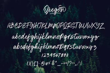 Oregon Script Font by Geranium.co — Script Handwritten Font — thumbnail 9