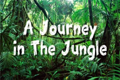 Oretz Font by Niznaz Graphic Studio — Script Handwritten Font — thumbnail 4