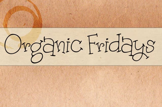 Organic Fridays Font by brittneymurphydesign — Script Handwritten Font