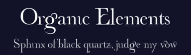 Organic Elements by Nerys — Sans Serif Font — thumbnail 2