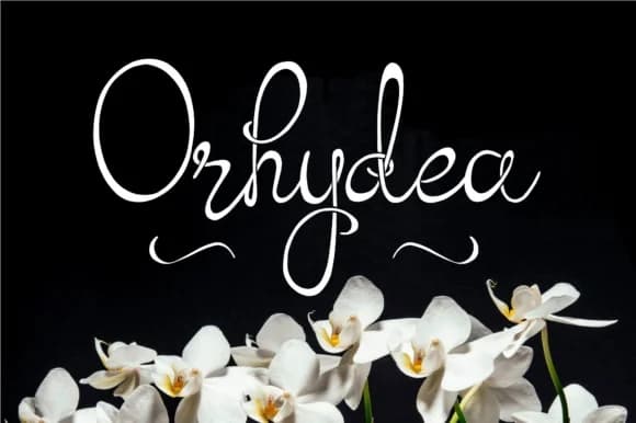 Orhydea Font by Digital Typeface Studio — Script Handwritten Font