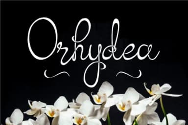 Orhydea Font by Digital Typeface Studio — Script Handwritten Font — thumbnail 1