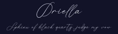 Oriella by RantautypeStudio — Script Handwritten Font — thumbnail 2
