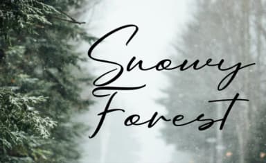 Oriflame Script Font by 50Fox — Script Handwritten Font — thumbnail 9