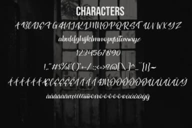 Originality Script Font by Fallengraphic — Script Handwritten Font — thumbnail 9