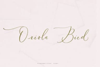 Oriole Bird Font by Primafox Design — Script Handwritten Font — thumbnail 1