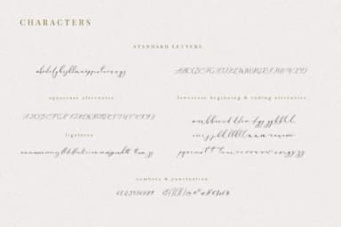 Oriole Bird Font by Primafox Design — Script Handwritten Font — thumbnail 2