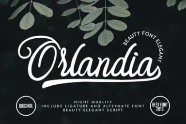 Orlandia Font by Vunira — Script Handwritten Font — thumbnail 1